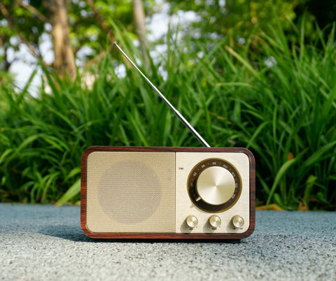 Bluetooth Speaker with FM