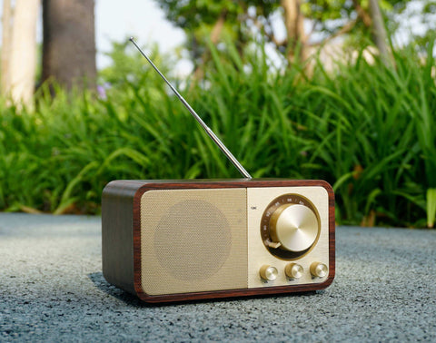 Bluetooth Speaker with FM