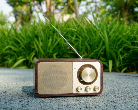 Bluetooth Speaker with FM