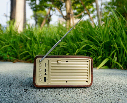 Bluetooth Speaker with FM