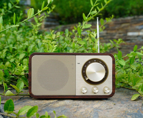 Bluetooth Speaker with FM