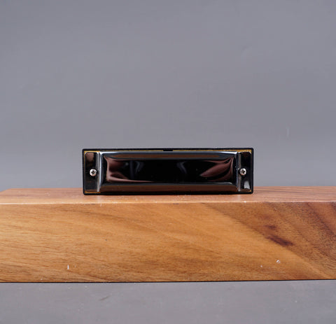 Diatonic Harmonica For Beginners
