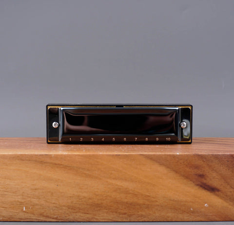 Diatonic Harmonica For Beginners