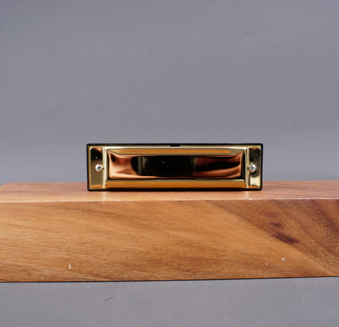 Diatonic Harmonica For Beginners