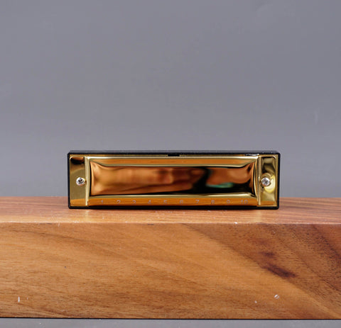 Diatonic Harmonica For Beginners