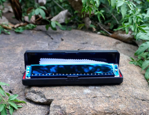 Custom Engraved Stainless Steel Tremolo Harmonica, 24 Holes C Key Beginner Harmonica for Kids Children Adults Students-3