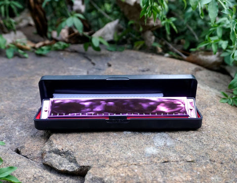 Custom Engraved Stainless Steel Tremolo Harmonica, 24 Holes C Key Beginner Harmonica for Kids Children Adults Students-4