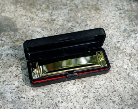 Custom Engraved Diatonic Harmonica For Kid Adult Beginners-8