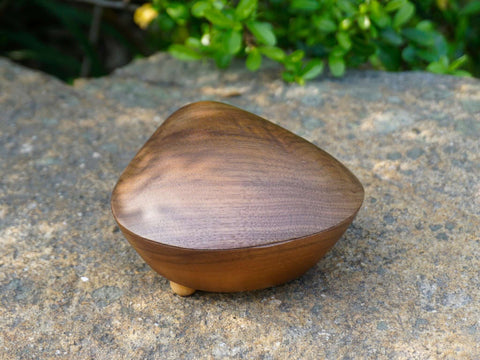 shell music box