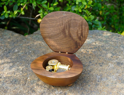 shell music box