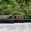 Custom Christmas Diatonic Harmonica with engraving-5