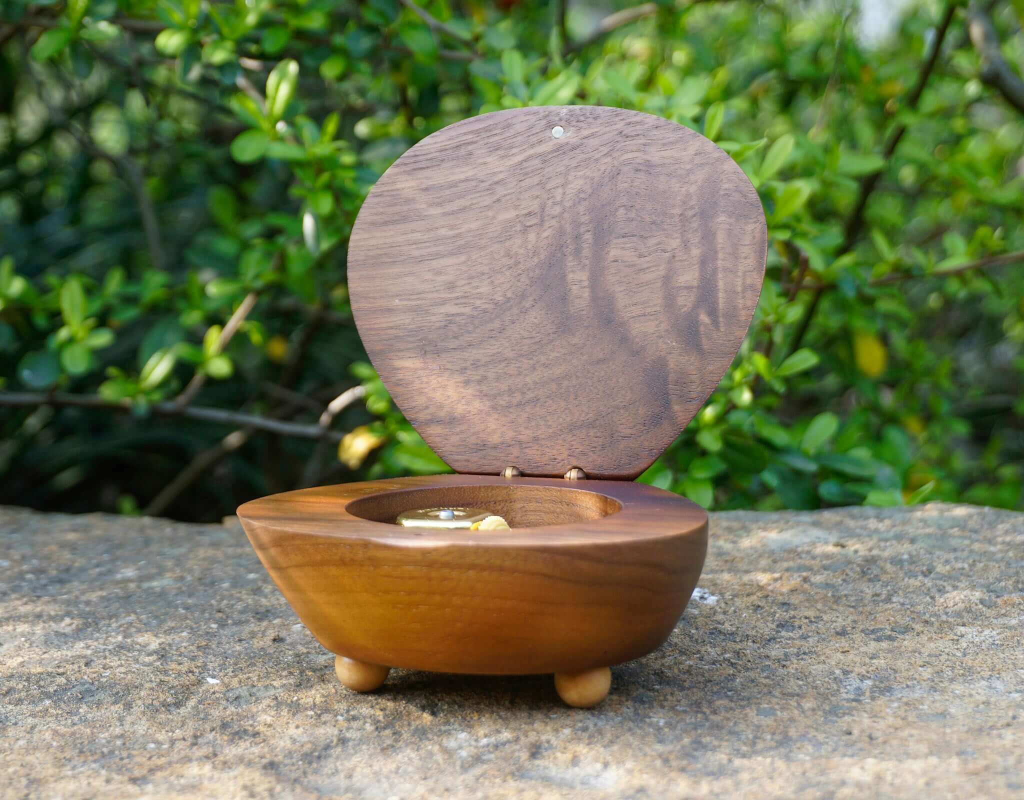 shell music box | WishSign